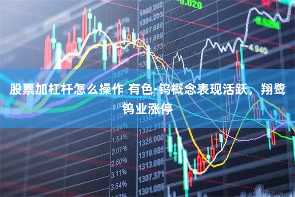 股票加杠杆怎么操作 有色·钨概念表现活跃，翔鹭钨业涨停